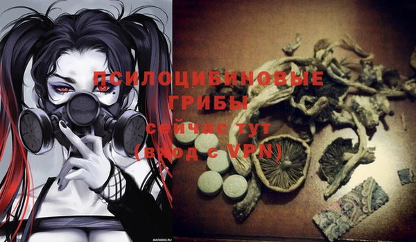 МДПВ Верея