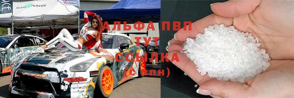 PSILOCYBIN Вяземский