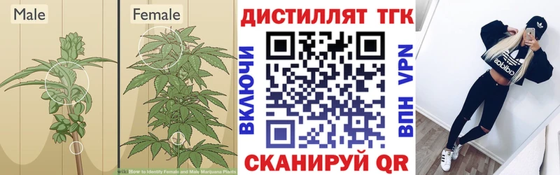 ТГК Wax Купить где Кремёнки
